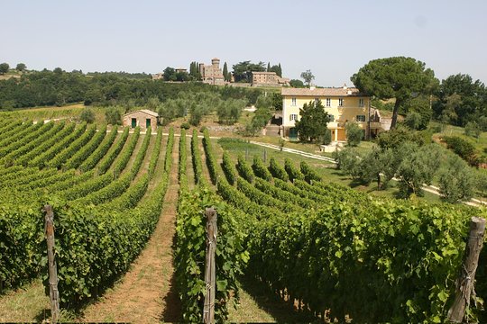 Tour image 1